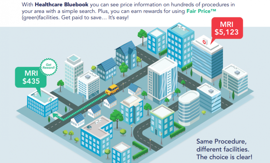 HealthCare Bluebook: Overview